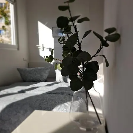 Stayinn Zentrum Sued Mit Kueche, Waschmaschine, Bad, Wifi, Flat Tv Usw * לייפציג